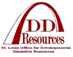 DDR logo